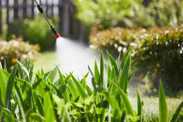 24/7 Emergency Termite Control experts in Black Jack, MO